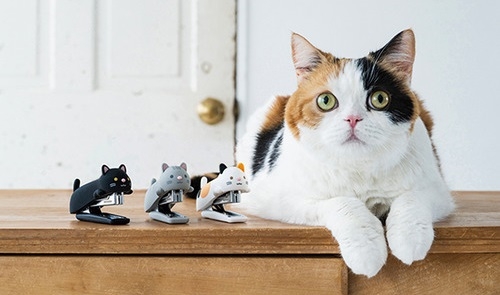 【東京店】2/22は「ねこの日」！