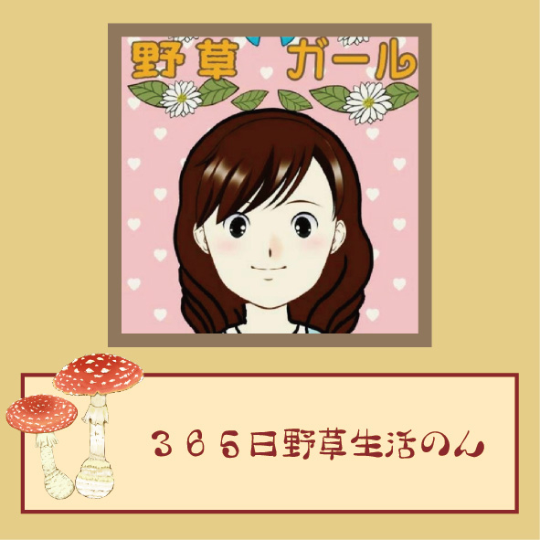 【2.28修正】20260306_横浜きのこクラブ_作家アイコン-３６５日野草生活のん.jpg