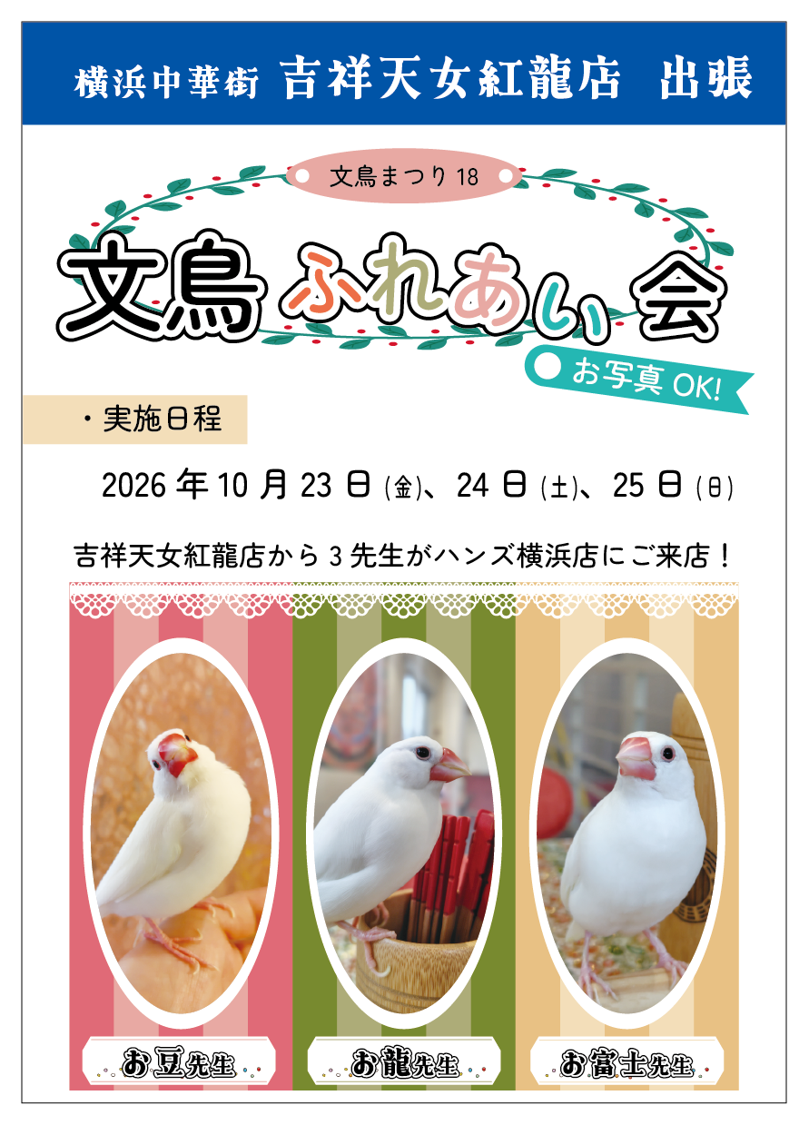【2026文鳥まつり】文鳥ふれあい会_紹介.png