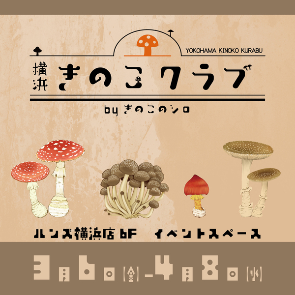 きのこ様 リクエスト 4点 まとめ商品 楽天市場】【お好み4個 きのこ様 リクエスト 4点 まとめ商品 楽天市場】【お好み4個