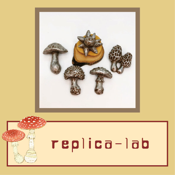 20260306_横浜きのこクラブ_作家アイコン-replica-lab.jpg